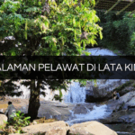 Pengalaman Pelawat di Lata Kinjang